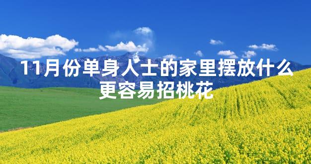 11月份单身人士的家里摆放什么更容易招桃花