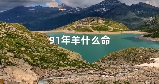 91年羊什么命