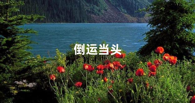 倒运当头