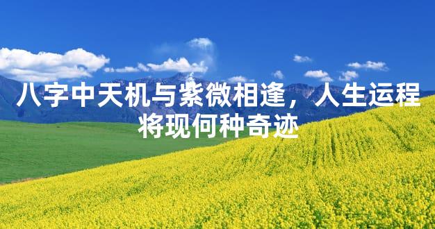 八字中天机与紫微相逢，人生运程将现何种奇迹