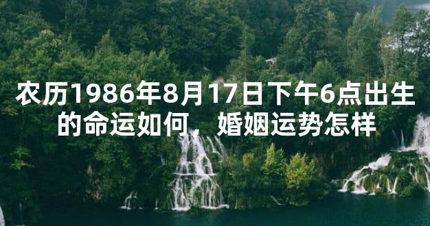 农历1986年8月17日下午6点出生的命运如何，婚姻运势怎样