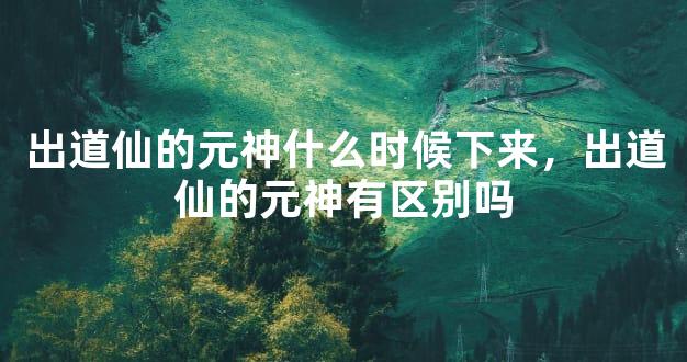 出道仙的元神什么时候下来，出道仙的元神有区别吗