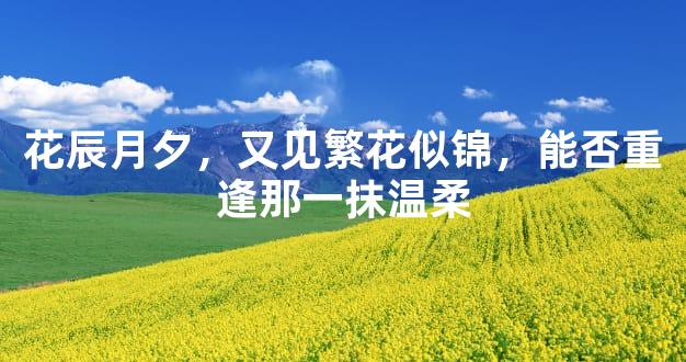 花辰月夕，又见繁花似锦，能否重逢那一抹温柔