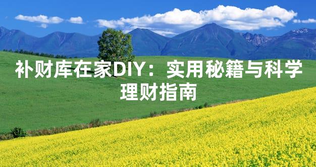 补财库在家DIY：实用秘籍与科学理财指南