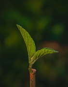 看财运方位，这样做能准确找出财运位置